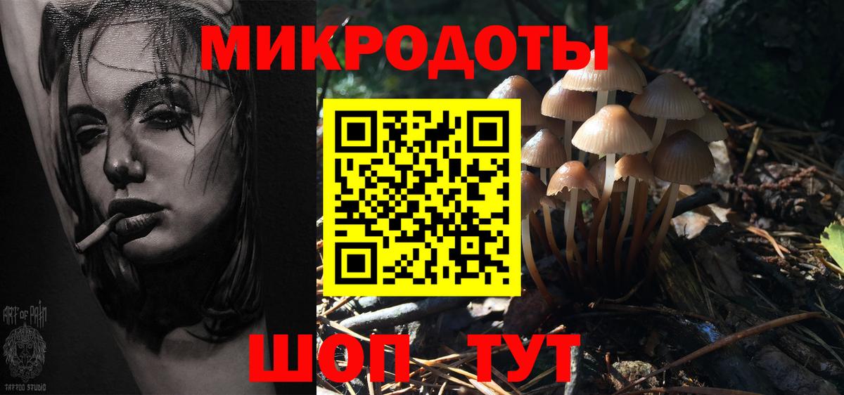 Галлюциногенные грибы Magic Shrooms Гусиноозёрск