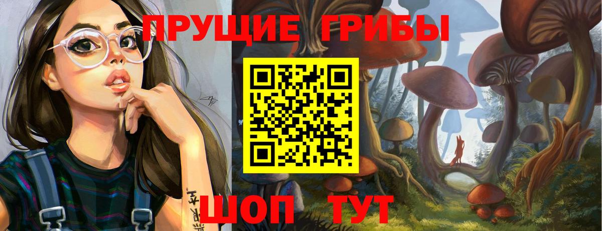 Гусиноозёрск  Псилоцибиновые грибы Psilocybe  Галлюциногенные грибы Psilocybe  Вход с VPN 